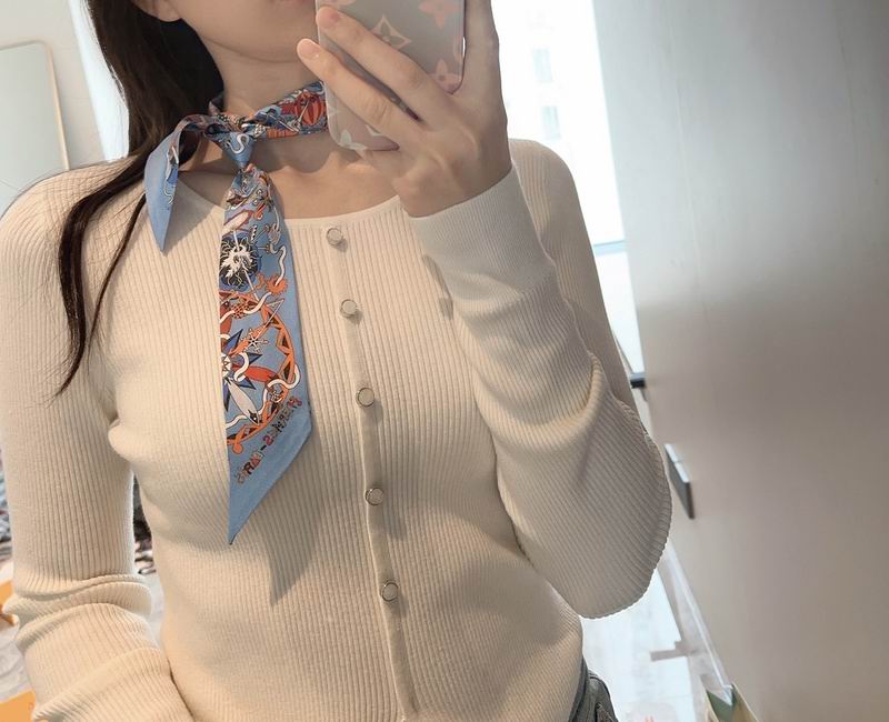 Hermes silk ribbon hm (192)