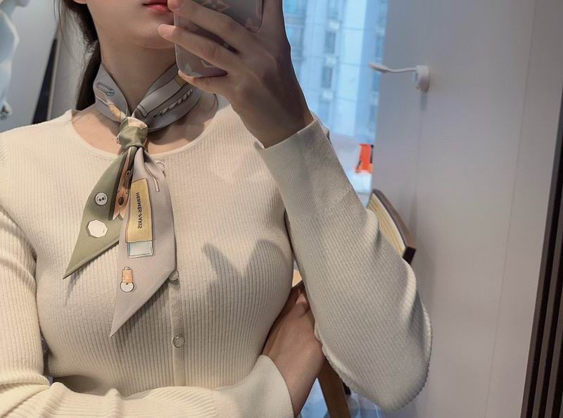 Hermes silk ribbon hm (217)