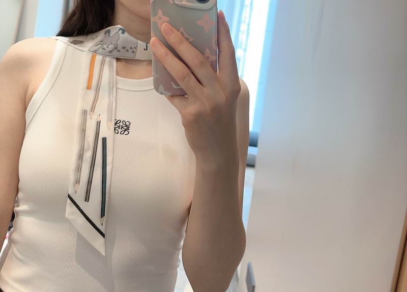 Hermes silk ribbon hm (269)