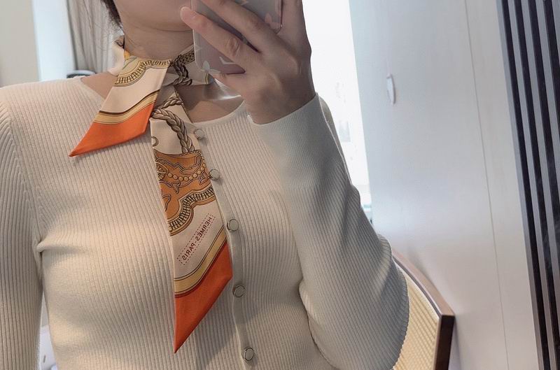 Hermes silk ribbon hm (297)