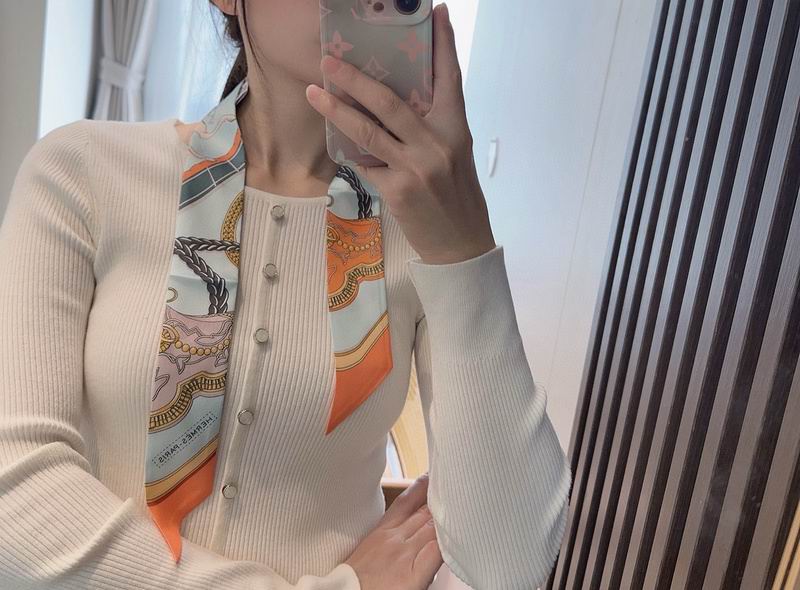 Hermes silk ribbon hm (303)