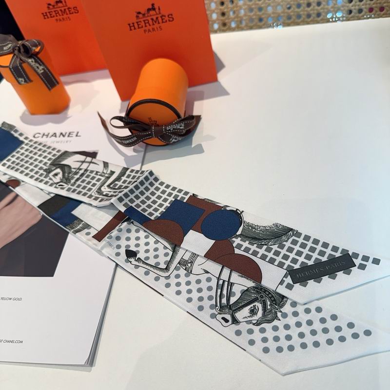 Hermes silk ribbon hm (37)