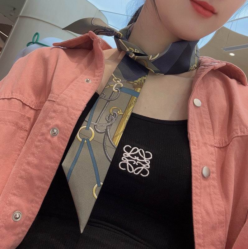 Hermes silk ribbon hm (403)