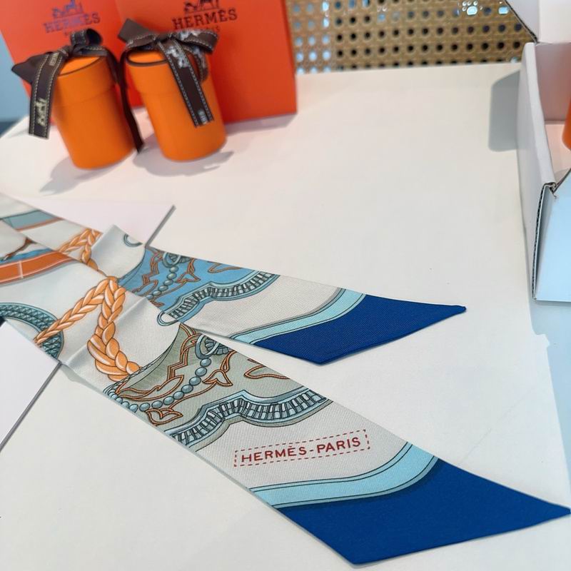 Hermes silk ribbon hm (55)