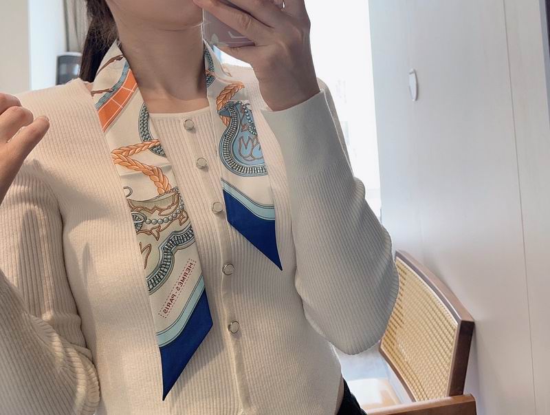 Hermes silk ribbon hm (57)