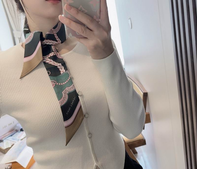 Hermes silk ribbon hm (66)