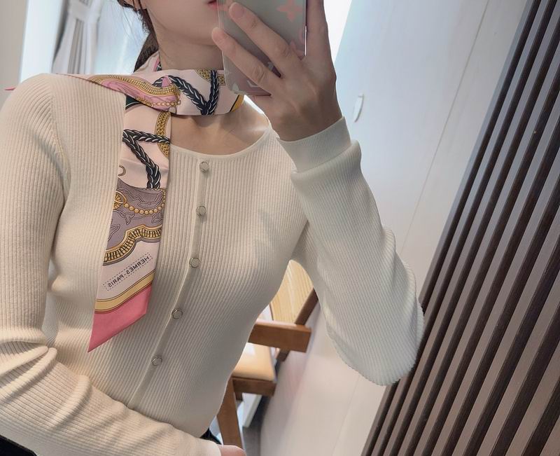 Hermes silk ribbon hm (69)