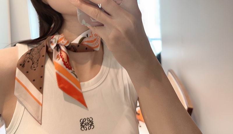 Hermes silk ribbon hm (79)