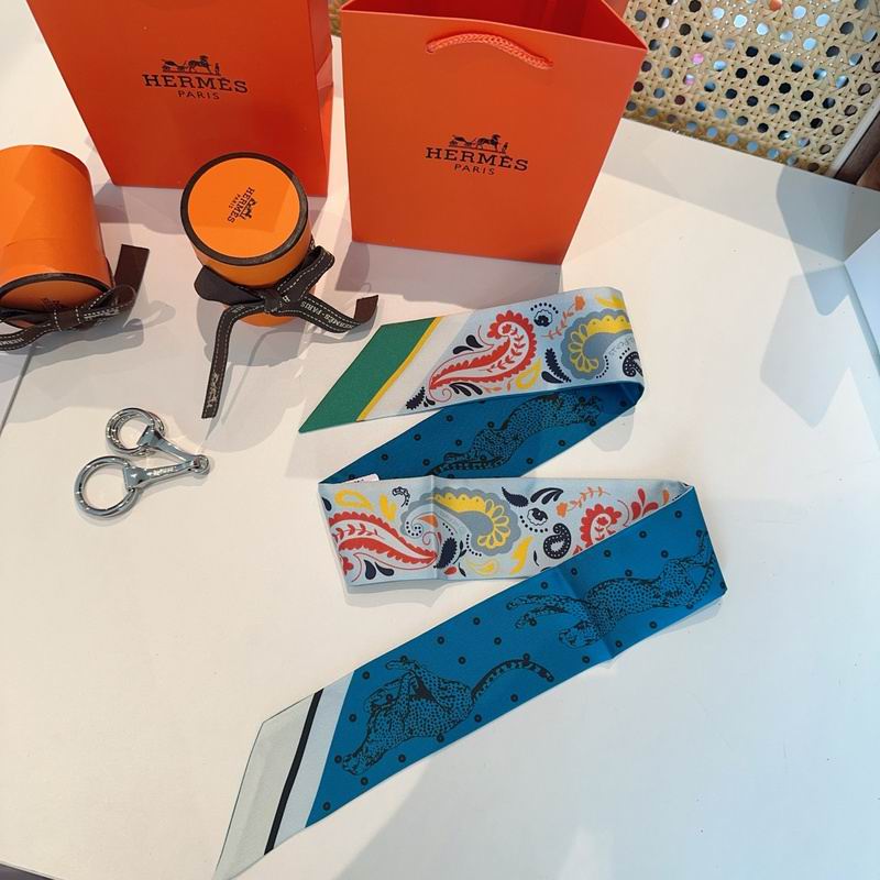 Hermes silk ribbon hm (84)