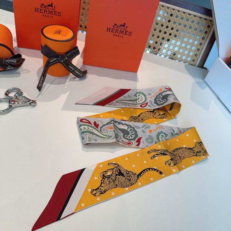Hermes silk ribbon hm (87)