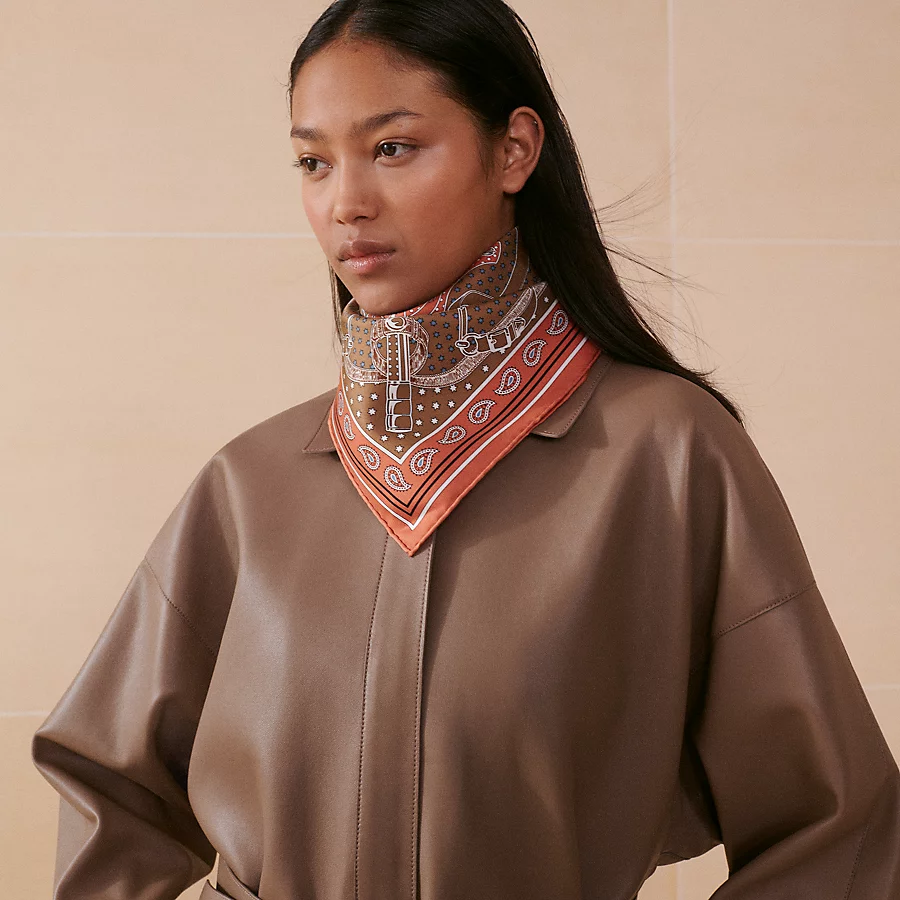 Hermes silk scarf 90X90cm E48 (38)