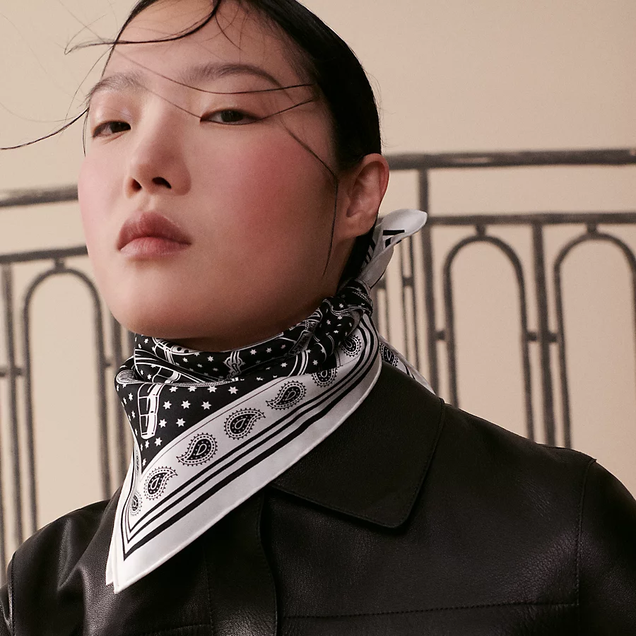 Hermes silk scarf 90X90cm E48 (48)