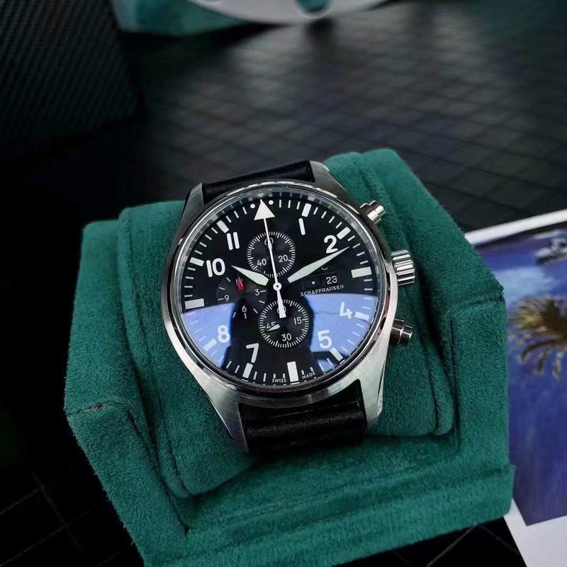 IWC watch 125 (6)