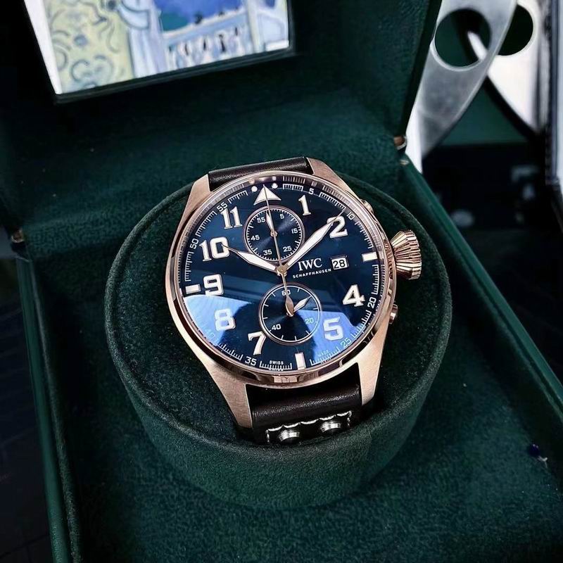 IWC watch 30 (8)