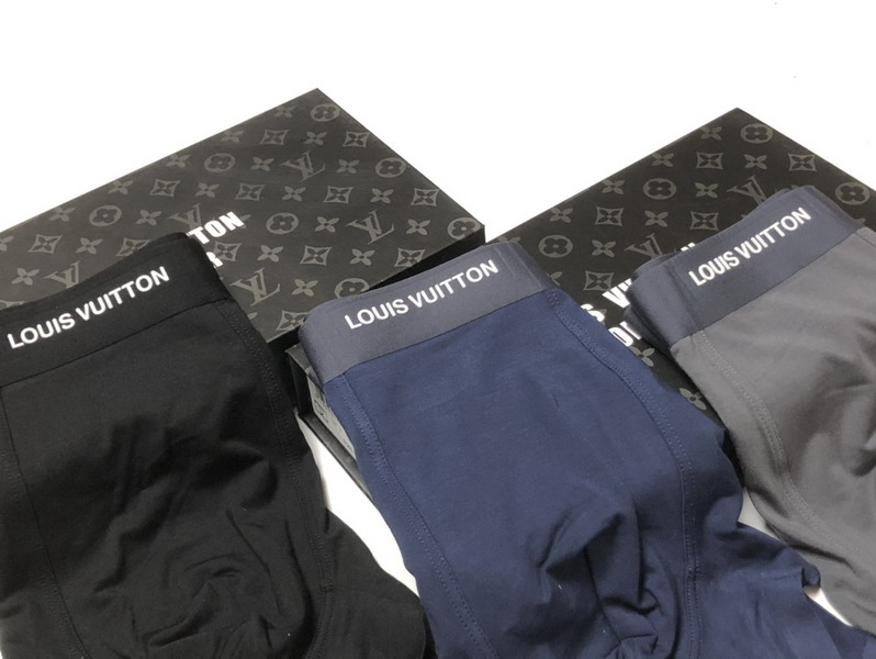 LV boxer L-3XL 13gx03 (3)