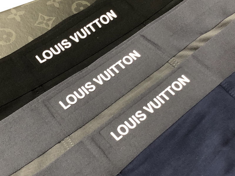 LV boxer L-3XL 13gx03 (5)