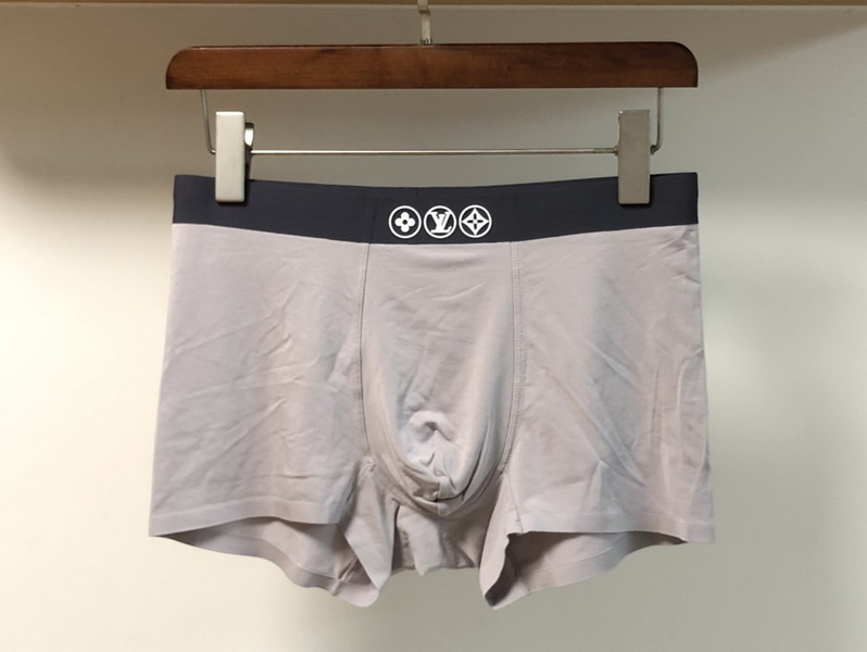 LV boxer L-3XL 13gx04 (3)