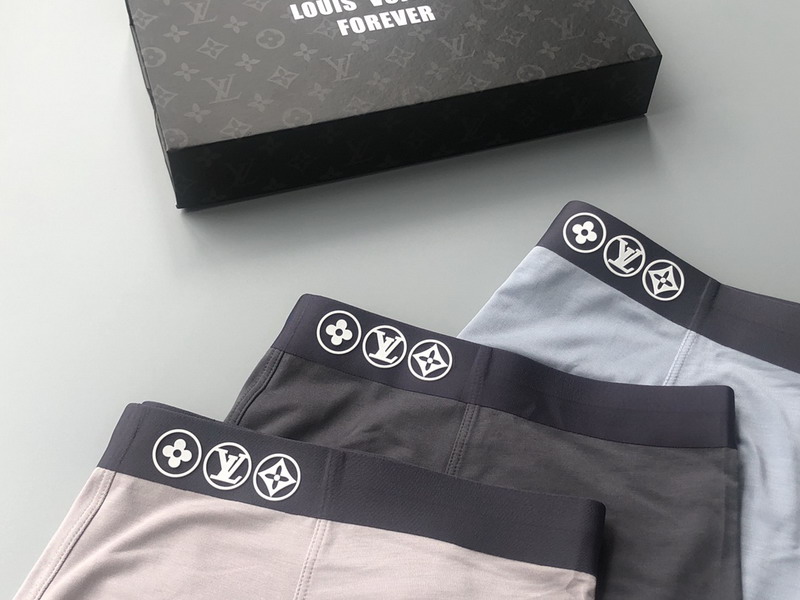LV boxer L-3XL 13gx04 (8)