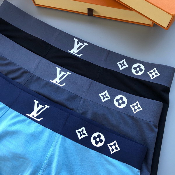 LV boxer L-3XL 13gx05 (3)