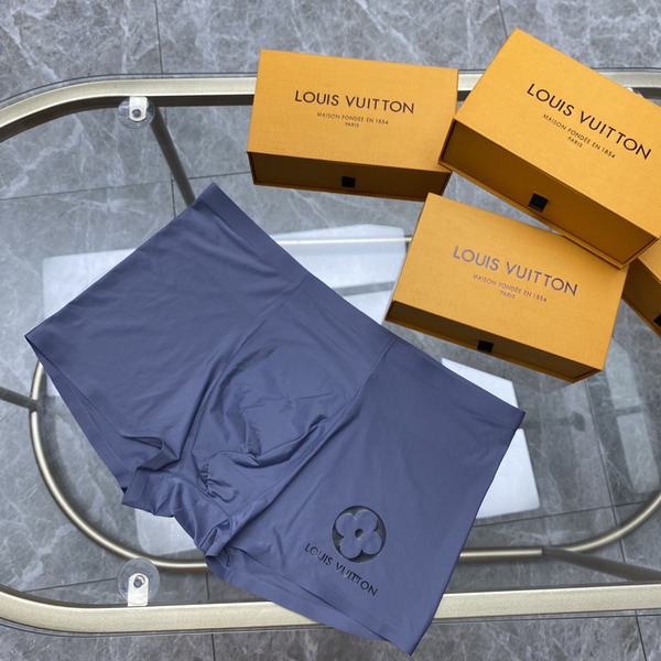 LV boxer L-3XL 13gx09 (3)