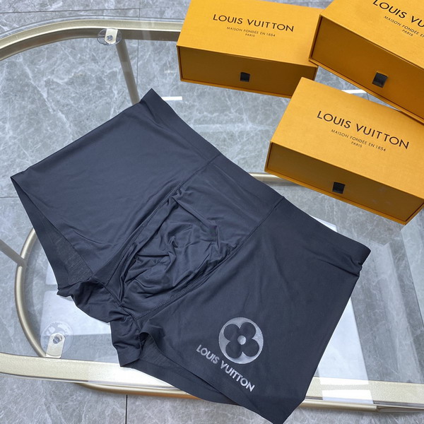 LV boxer L-3XL 13gx09 (4)