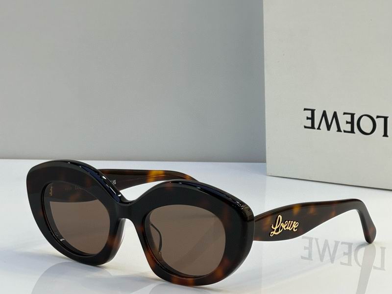 Loewe Glasses 03smh11 (9)