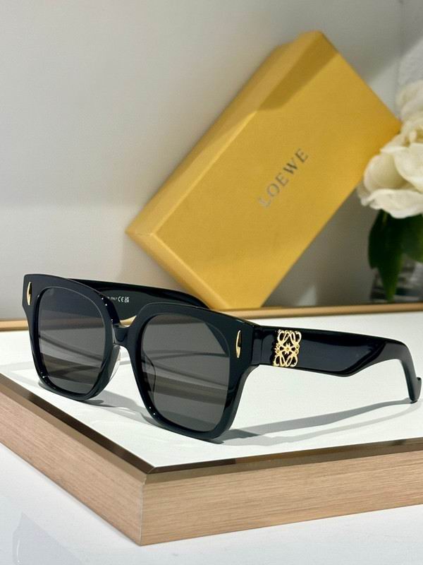 Loewe Glasses 03smh12 (3)