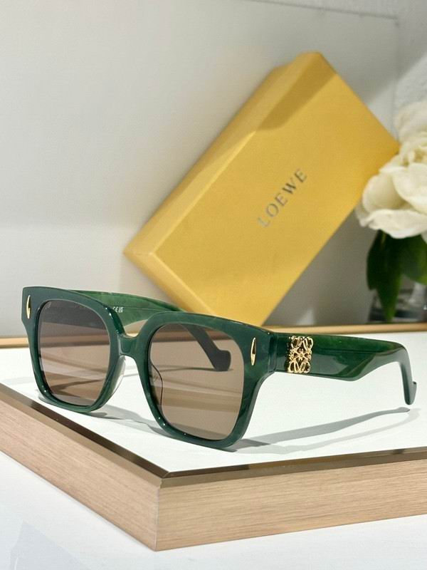 Loewe Glasses 03smh12 (5)