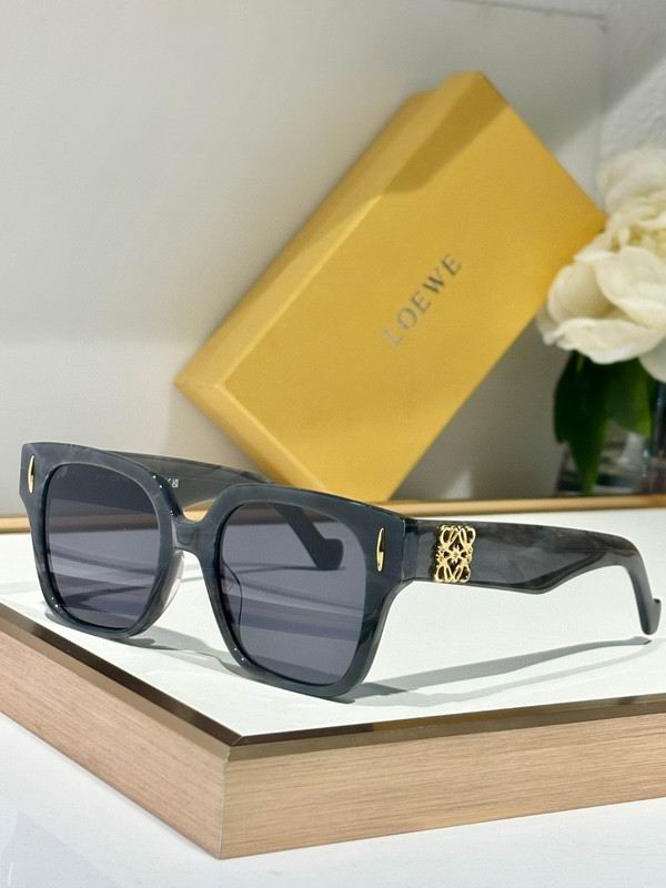Loewe Glasses 03smh12 (6)