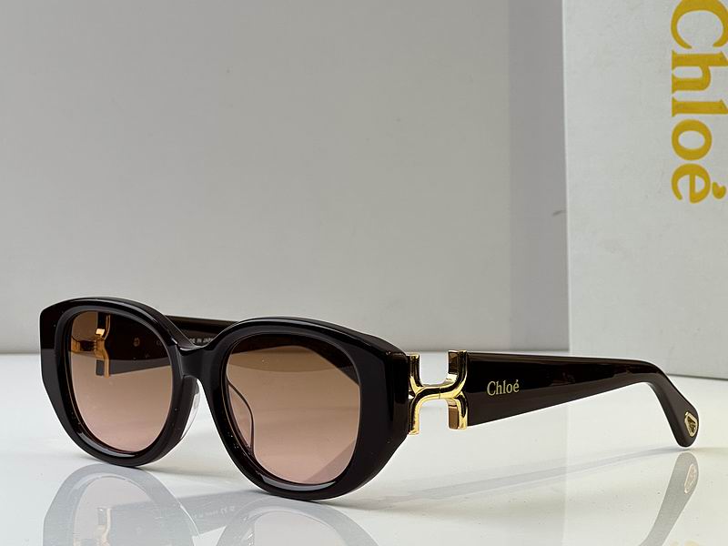 Loewe Glasses 03smh49 (4)