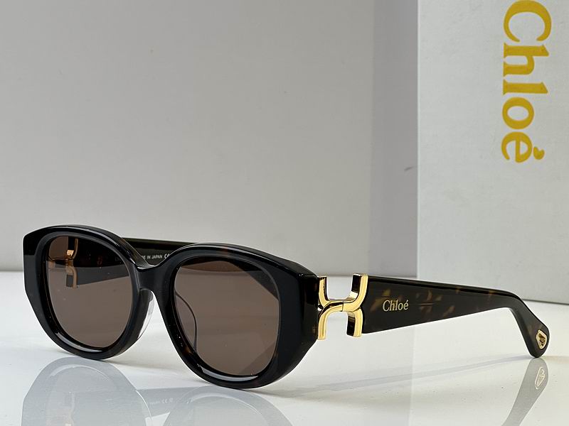 Loewe Glasses 03smh49 (5)