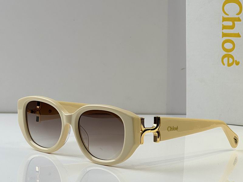 Loewe Glasses 03smh49 (6)