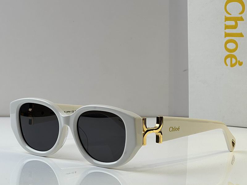 Loewe Glasses 03smh49 (7)