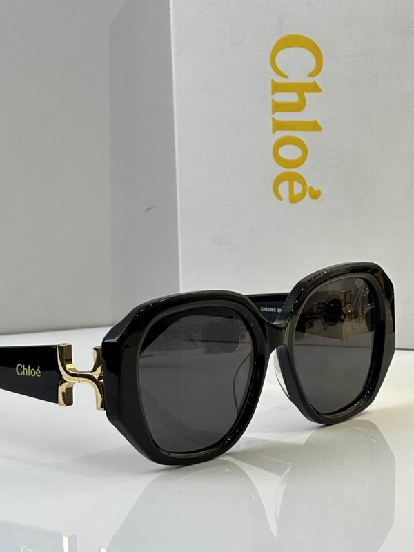 Loewe Glasses 03smh50 (10)