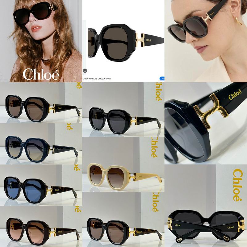 Loewe Glasses 03smh50 (11)