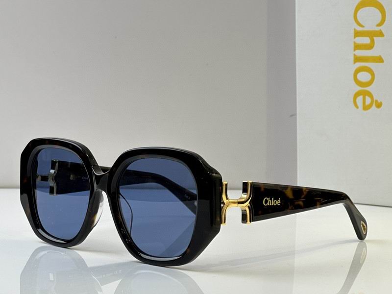 Loewe Glasses 03smh50 (3)