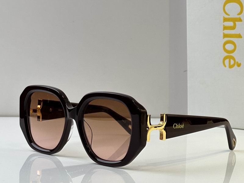 Loewe Glasses 03smh50 (4)