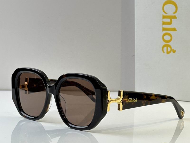 Loewe Glasses 03smh50 (5)