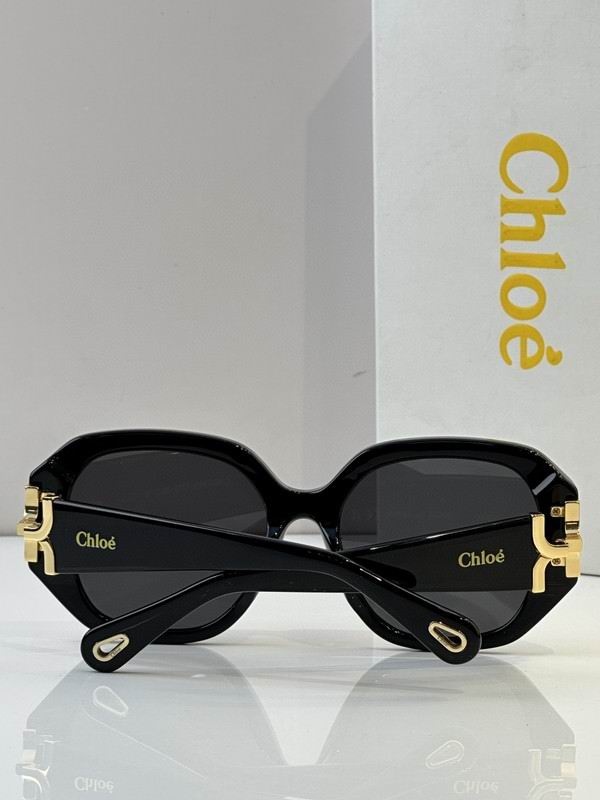 Loewe Glasses 03smh50 (9)