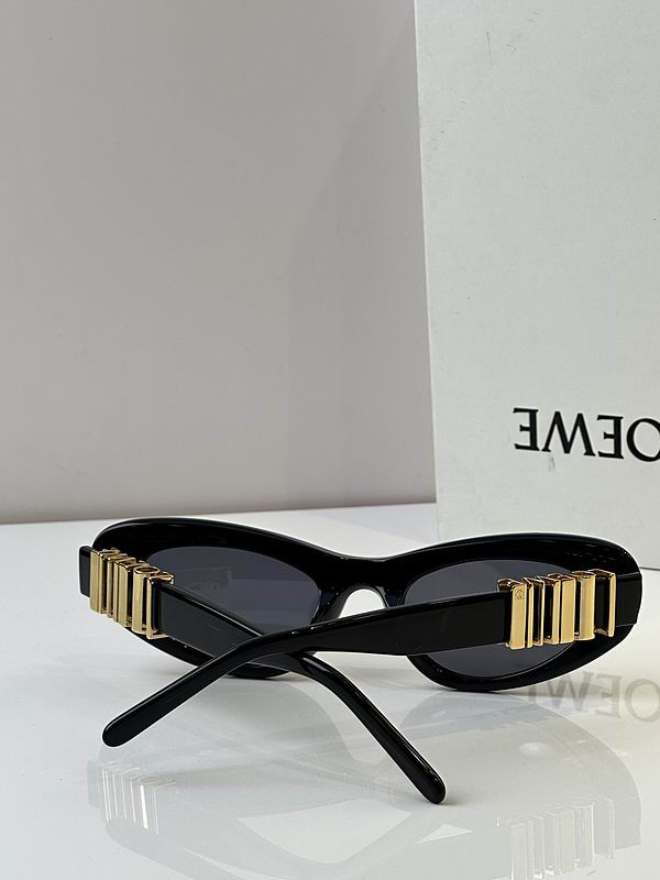 Loewe Glasses 03smh52 (6)