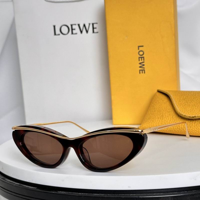 Loewe Glasses 03smh55 (4)