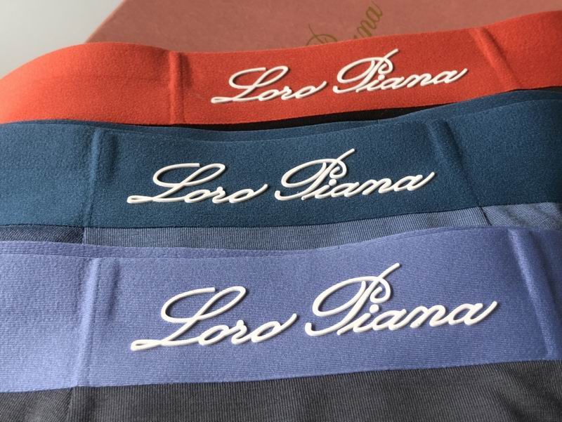 Loro Piana boxer L-4XL 11 (1)