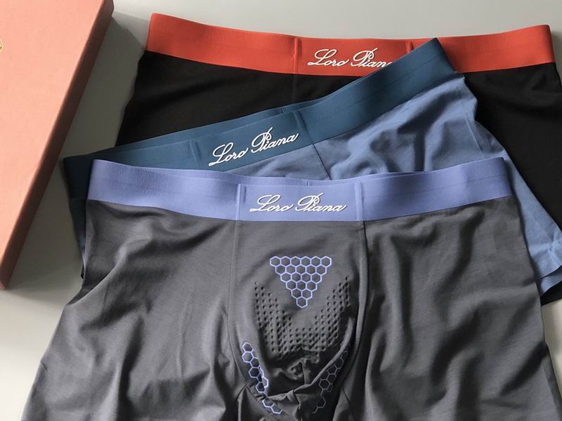 Loro Piana boxer L-4XL 11 (2)