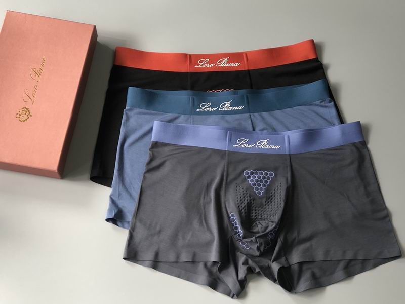 Loro Piana boxer L-4XL 11 (3)