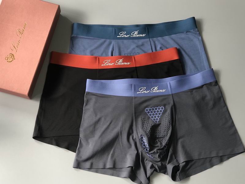 Loro Piana boxer L-4XL 11 (4)