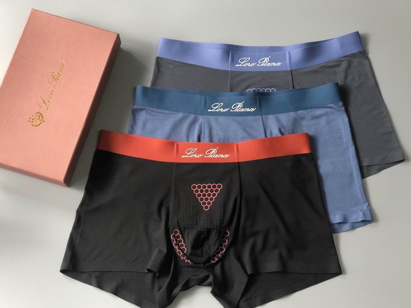 Loro Piana boxer L-4XL 11 (5)