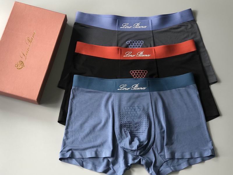 Loro Piana boxer L-4XL 11 (6)
