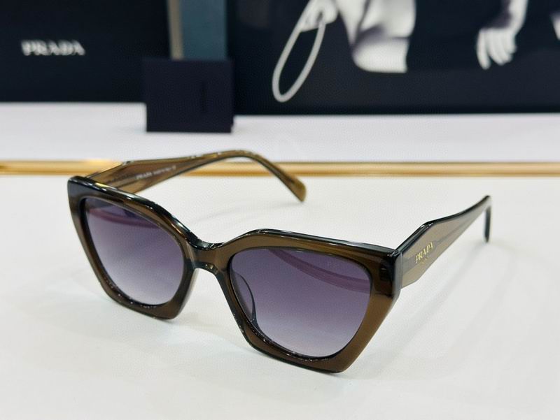 Prada Glasses smh79 (4)