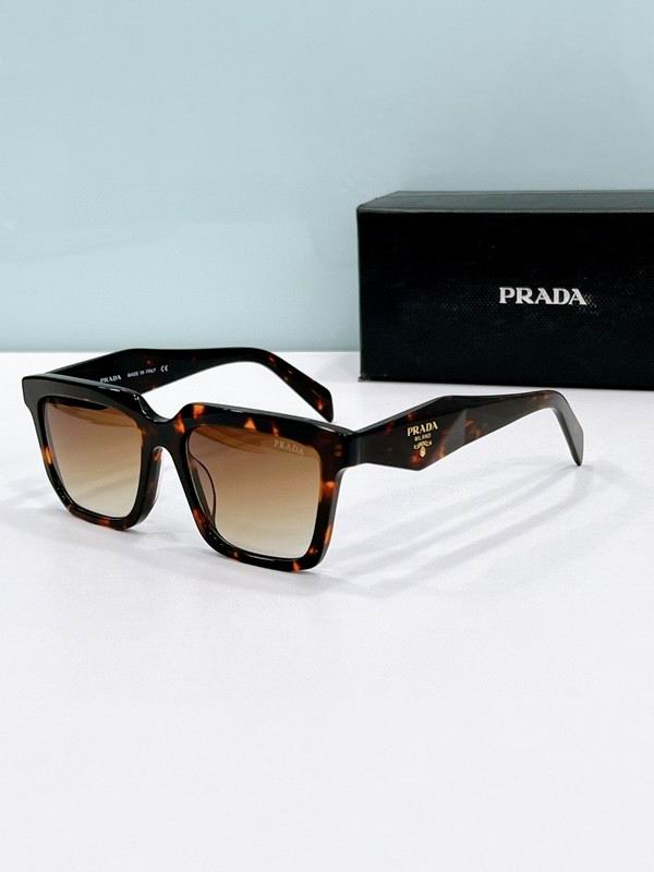 Prada Glasses smh88 (6)