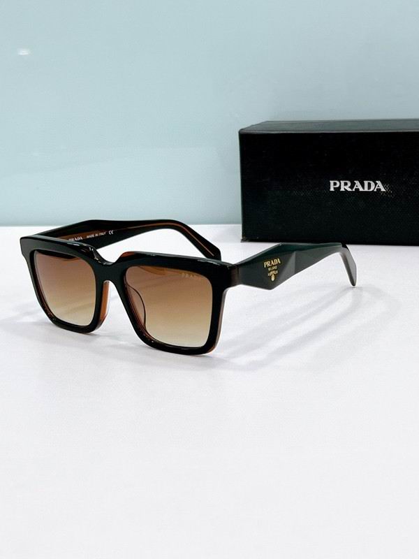 Prada Glasses smh88 (8)